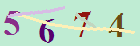 کد امنیتی