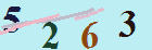 کد امنیتی