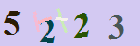 کد امنیتی