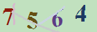 کد امنیتی