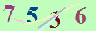 کد امنیتی