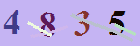 کد امنیتی