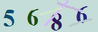 کد امنیتی