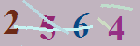 کد امنیتی