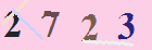 کد امنیتی