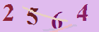 کد امنیتی