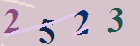 کد امنیتی