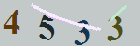 کد امنیتی