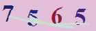 کد امنیتی