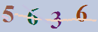 کد امنیتی