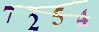 کد امنیتی