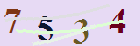 کد امنیتی