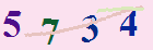 کد امنیتی