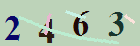 کد امنیتی