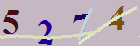 کد امنیتی