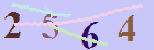 کد امنیتی