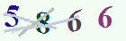 کد امنیتی