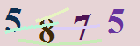 کد امنیتی
