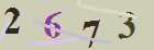 کد امنیتی