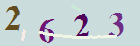 کد امنیتی