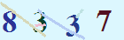 کد امنیتی