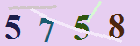 کد امنیتی