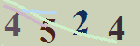 کد امنیتی