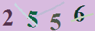 کد امنیتی