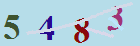 کد امنیتی