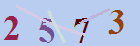 کد امنیتی
