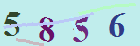 کد امنیتی