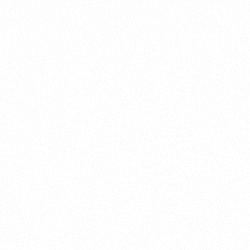 کیان تجارت بزرگمهر