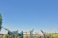 فروش سه هزار متر باغ با درختان میوه 