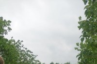 زمین ویلا رشت فروشی