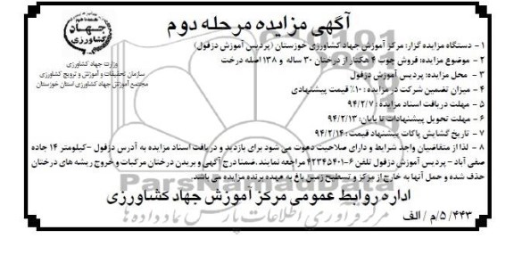 قیمت چوب درخت اکالیپتوس