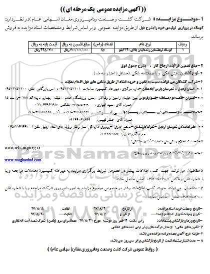 آگهی مزایده عمومی , مزایده گوساله نر هلشتاین زنده قپان بالای 420 کیلو