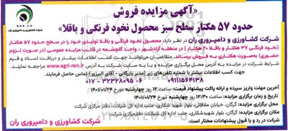 مزایده فروش حدود 57 هکتار سطح سبز محصول نخود فرنگی و باقلا