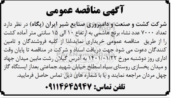 مناقصه، مناقصه تعداد 7000 عدد نشاء برنج هاشمی