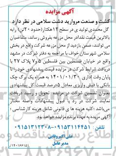 مرایده فروش گل محمدی تولیدی در سطح ۱۲ هکتار