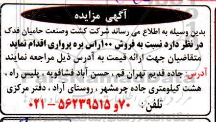 مزایده، مزایده فروش 100 راس بره پرواری