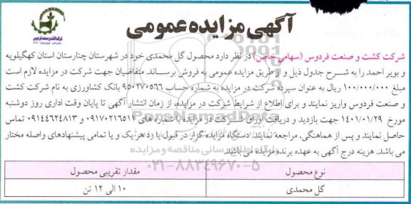 مزایده محصول گل محمدی 