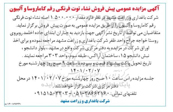 مزایده عمومی پیش فروش نشا توت فرنگی رقم کاماروسا و آلبیون