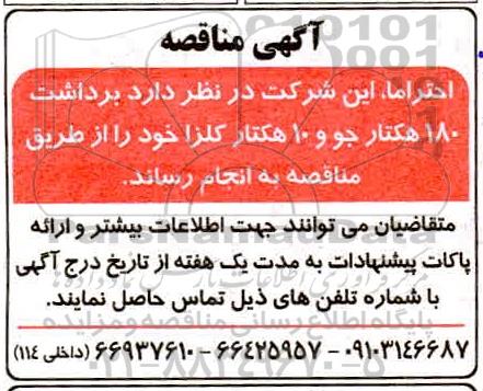مناقصه برداشت 180 هکتار جو و 10 هکتار کلزا