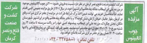 مزایده چوب اکالیپتوس