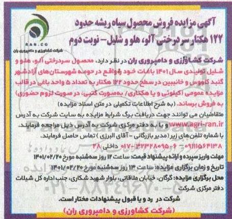 مزایده، مزایده فروش محصول سیاه ریشه حدود 122 هکتار سردرختی آلو، هلو و شلیل  - نوبت دوم 
