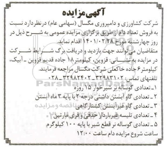مزایده فروش تعدادی دام