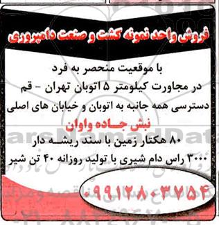 مزایده, مزایده فروش 80 هکتار زمین و ...