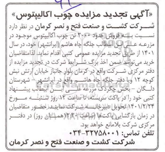 تجدید مزایده چوب اکالیپتوس