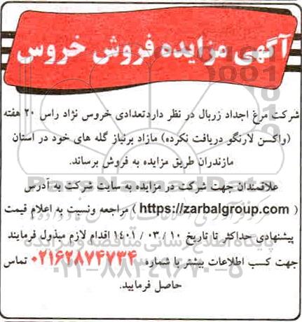 آگهی مزایده فروش خروس