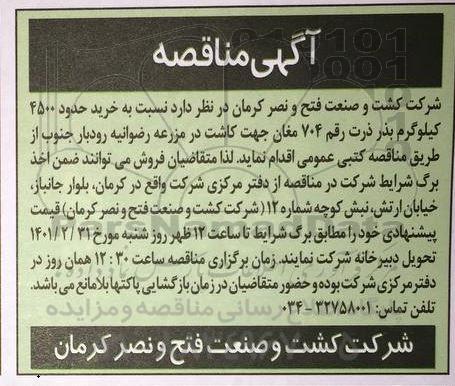 مناقصه  خرید حدود 4500 کیلوگرم بذر ذرت